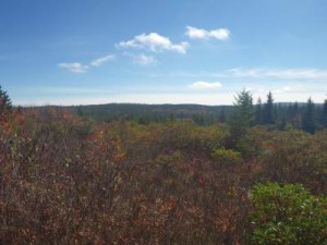 Hiking along the Dolly Sods Wilderness Area