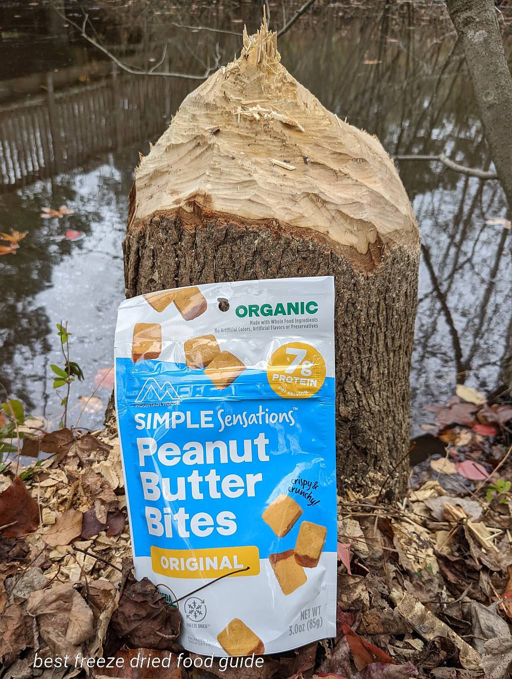 Mountain House Peanut Butter Bites next to a beaver chewed tree stump