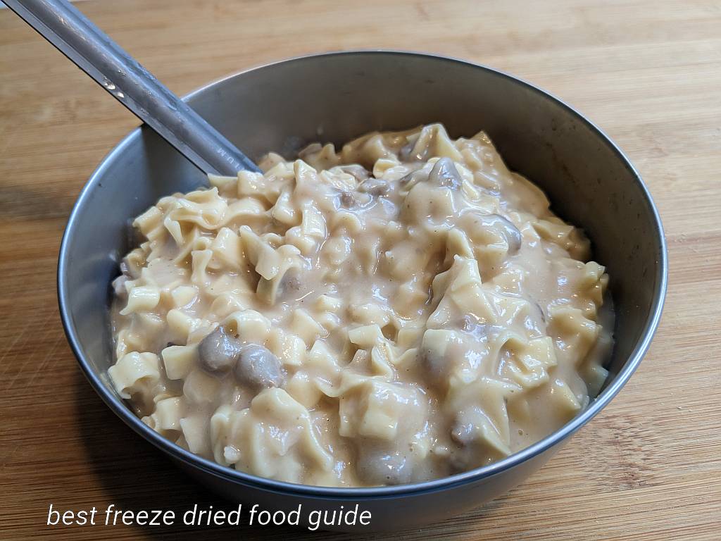 Just prepared Mountain House Beef Stroganoff with Noodles in a bowl ready to eat | Freeze Dried Survival and Emergency Food | Freeze Dried Backpacking and Camping Food | Mountain House Freeze Dried Food