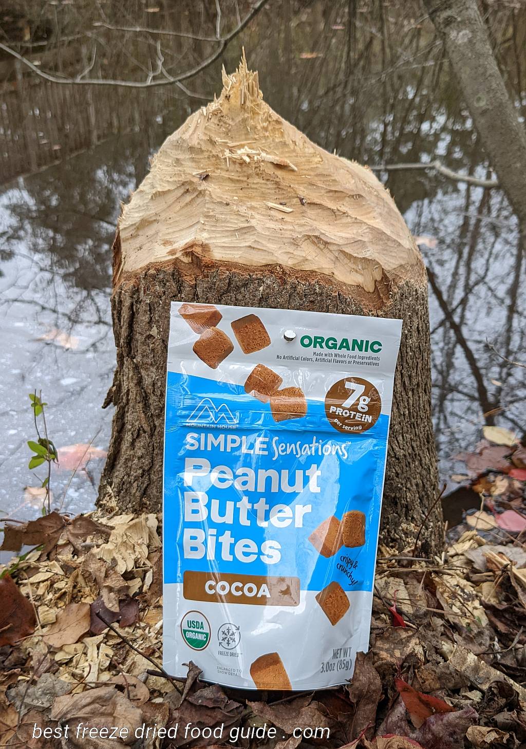 Mountain House Peanut Butter Bites - Cocoa Review | Mountain House Cocoa Peanut Butter Bites | freeze dried peanut butter | freeze dried snack