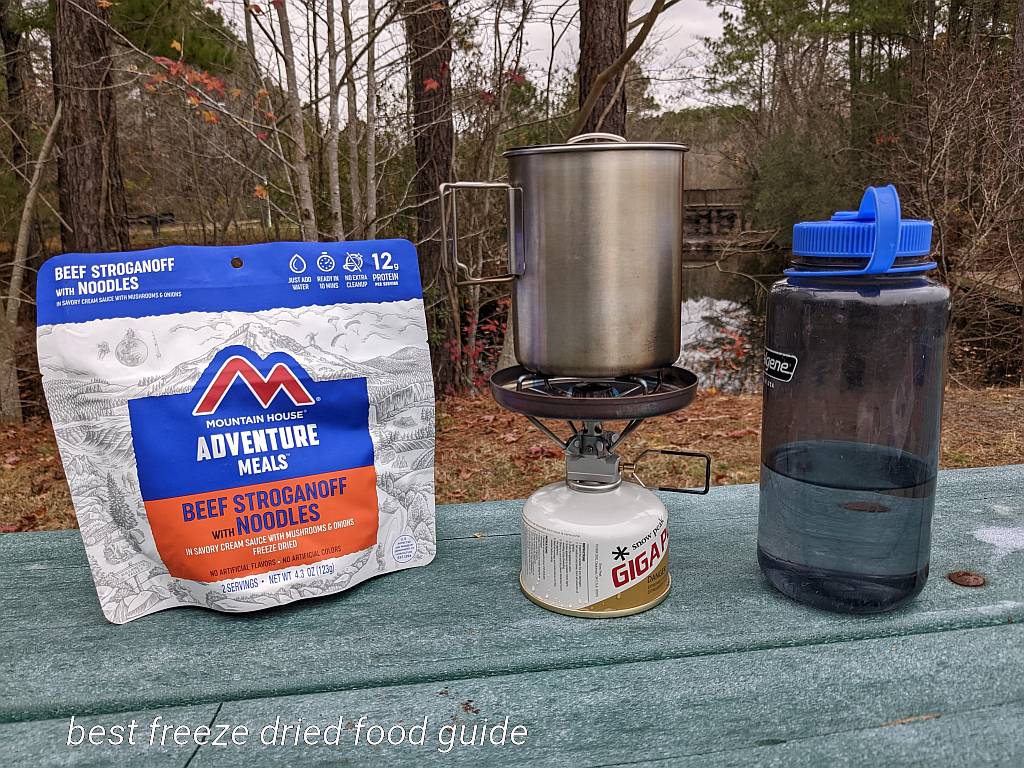 Mountain House Beef Stroganoff for lunch | Freeze Dried Survival and Emergency Food | Freeze Dried Backpacking and Camping Food | Mountain House Freeze Dried Food