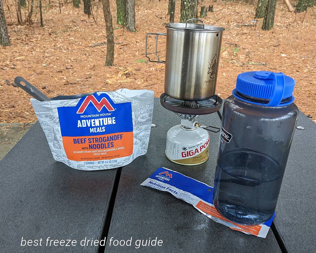 Mountain House Beef Stroganoff on a cold wet rainy day | Freeze Dried Survival and Emergency Food | Freeze Dried Backpacking and Camping Food | Mountain House Freeze Dried Food